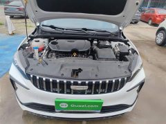Geely Binrui COOL 1.5T DCT Dragon Ascend Edition - ფოტო 20