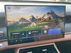 Chery Tiggo 8L 2.0T FWD Luxury 5-Seater - ფოტო 13