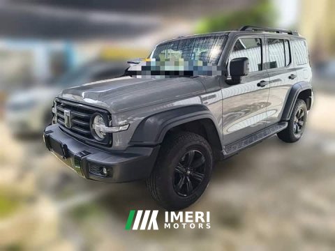 2023 Tank 300 Off-Road Edition 2.0T Challenger - ავტომობილი ჩინეთიდან