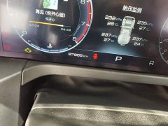 Tank 300 Off-Road Edition 2.0T Challenger - ფოტო 5