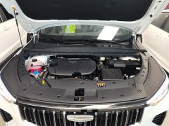Geely Boyue 1.5T Aspiration - ფოტო 16