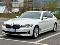 BMW 5 Series Facelift 525Li Luxury Package - ფოტო 10