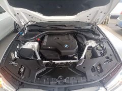 BMW 5 Series Facelift 525Li Luxury Package - ფოტო 18