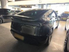 Tesla Model Y Rear-Wheel Drive - ფოტო 5