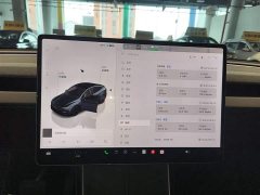 Tesla Model Y Rear-Wheel Drive - ფოტო 8
