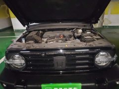 Tank 300 2021 Off-Road Edition 2.0T Conqueror - ფოტო 11