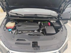 BYD Song MAX 2021 Upgraded 1.5T Automatic Luxury 6-Seater - ფოტო 20