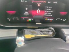 Volkswagen Sagitar 300TSI DSG Excellence Edition - ფოტო 5