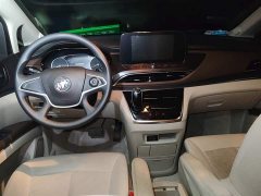 Buick GL8 Land Business Class Comfort Edition - ფოტო 13