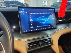 BYD Song L DM-i 2024 112km Leading Edition - ფოტო 13