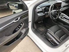 Geely Xingrui 2023 2.0T Diesel Space Edition - ფოტო 12