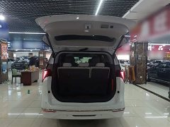 Buick GL8 Luzun Respect Edition - ფოტო 15