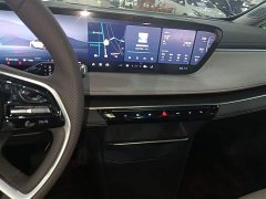Buick GL8 Luzun Respect Edition - ფოტო 9