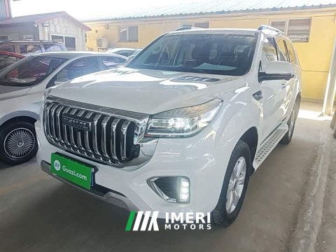 2022 Haval H9 2.0T Gasoline AWD Smart Comfort 5-Seater - ავტომობილი ჩინეთიდან