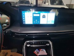 Wuling Xingchen 1.5T CVT Star Shine Edition - ფოტო 13