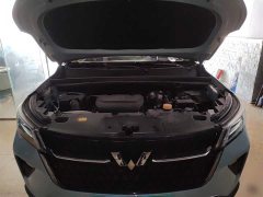Wuling Xingchen 1.5T CVT Star Shine Edition - ფოტო 20