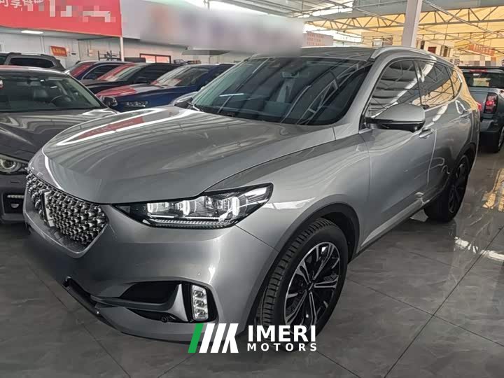 Great Wall WEY VV6 2.0T Two-Wheel Drive Smart Protection