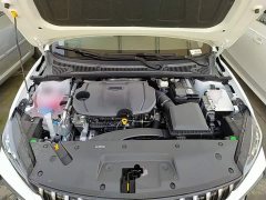 Geely Binrui 2024 Binrui COOL 1.5T DCT Dragon Ascend Edition - ფოტო 20
