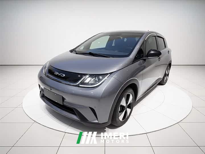 BYD Dolphin 420km Fashion Edition - ავტომობილი ჩინეთიდან