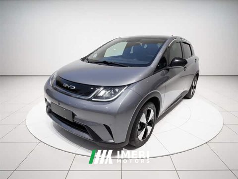 2023 BYD Dolphin 420km Fashion Edition - ავტომობილი ჩინეთიდან