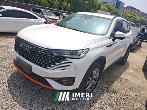 2021 Haval H6 Sport Edition 1.5T Automatic Luxury Smart Connected Hexagonal Grille - ავტომობილი ჩინეთიდან
