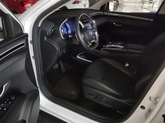 Hyundai Tucson 2023 Tucson L 1.5T Automatic Two-Wheel Drive DLX Luxury - ფოტო 16