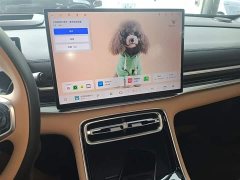 Geely Galaxy A7 EM-i 150km Starship Edition - ფოტო 13
