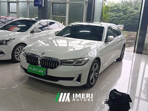 2021 BMW 5 Series 530Li Premier Luxury Package - ავტომობილი ჩინეთიდან