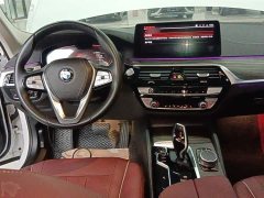 BMW 5 Series 530Li Premier Luxury Package - ფოტო 10