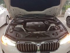 BMW 5 Series 530Li Premier Luxury Package - ფოტო 20