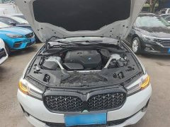 BMW 5 Series Facelift 530Li Premier Luxury Package - ფოტო 11