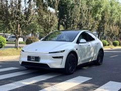 Tesla Model Y Rear-Wheel Drive - ფოტო 1
