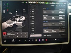 Tesla Model Y Rear-Wheel Drive - ფოტო 14