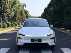 Tesla Model Y Rear-Wheel Drive - ფოტო 2