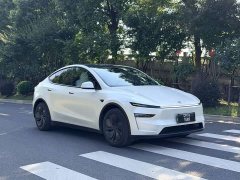 Tesla Model Y Rear-Wheel Drive - ფოტო 3