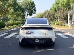 Tesla Model Y Rear-Wheel Drive - ფოტო 5