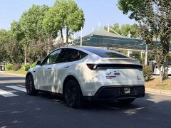 Tesla Model Y Rear-Wheel Drive - ფოტო 6