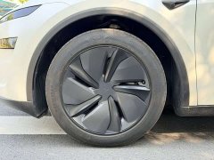 Tesla Model Y Rear-Wheel Drive - ფოტო 8