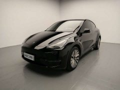 Tesla Model Y Long Range All-Wheel Drive 3D7 - ფოტო 1