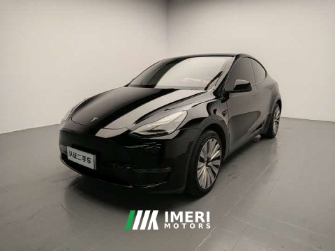 2021 Tesla Model Y Long Range All-Wheel Drive 3D7 - ავტომობილი ჩინეთიდან