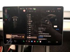 Tesla Model Y Long Range All-Wheel Drive 3D7 - ფოტო 10