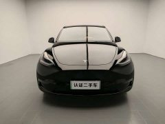Tesla Model Y Long Range All-Wheel Drive 3D7 - ფოტო 2
