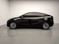 Tesla Model Y Long Range All-Wheel Drive 3D7 - ფოტო 4