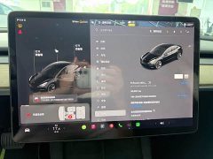 Tesla Model 3 Standard Range RWD Upgrade 3D6 - ფოტო 12