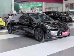 Tesla Model 3 Standard Range RWD Upgrade 3D6 - ფოტო 2
