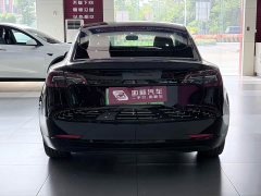 Tesla Model 3 Standard Range RWD Upgrade 3D6 - ფოტო 7