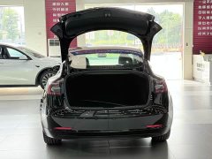 Tesla Model 3 Standard Range RWD Upgrade 3D6 - ფოტო 9