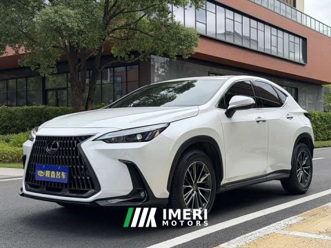 2023 Lexus NX 260 FWD Joyful Edition - ავტომობილი ჩინეთიდან