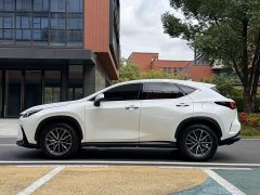 Lexus NX 260 FWD Joyful Edition - ფოტო 18