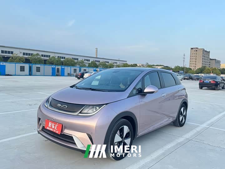 BYD Dolphin 420km Fashion Edition - ავტომობილი ჩინეთიდან